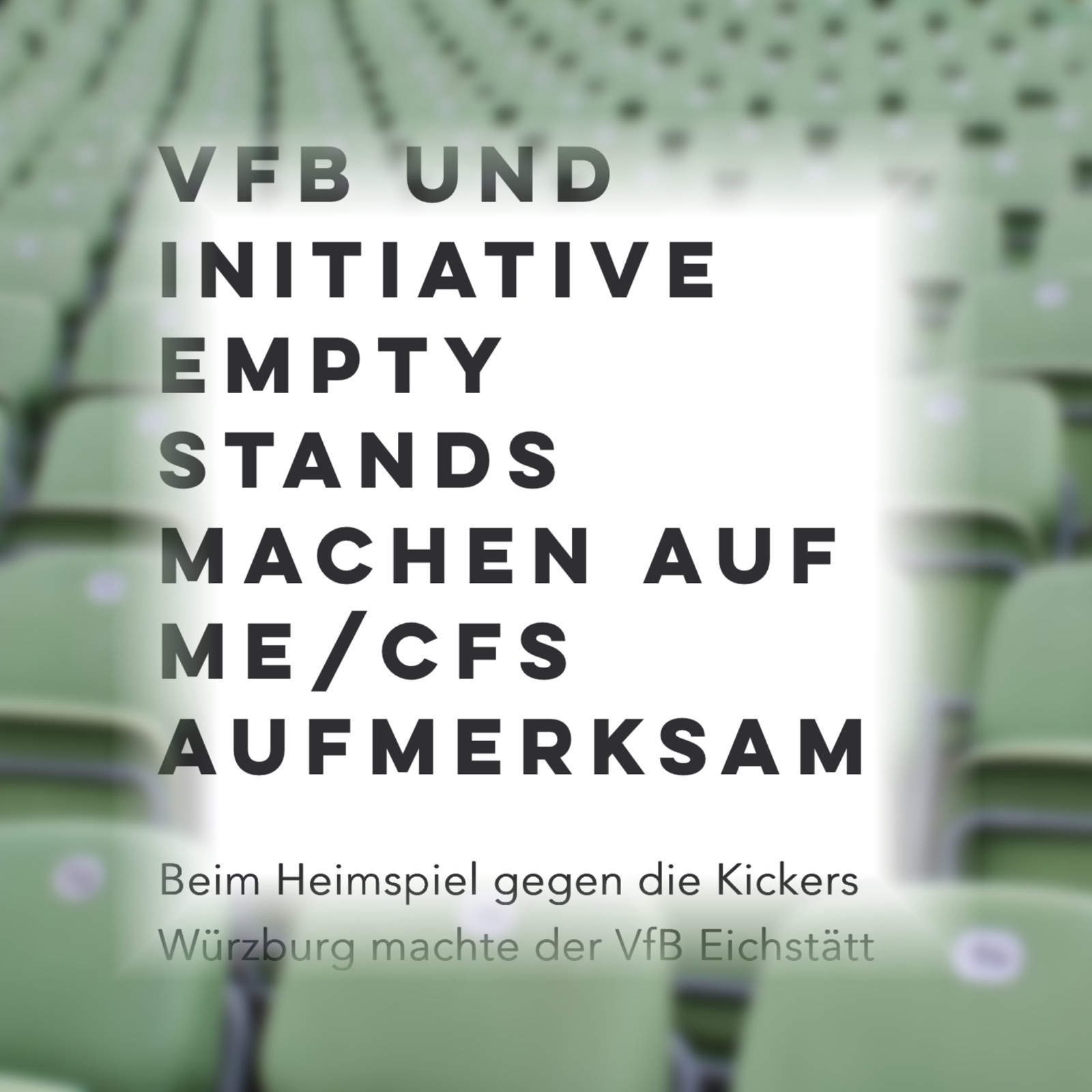 VfB Eichstätt Website