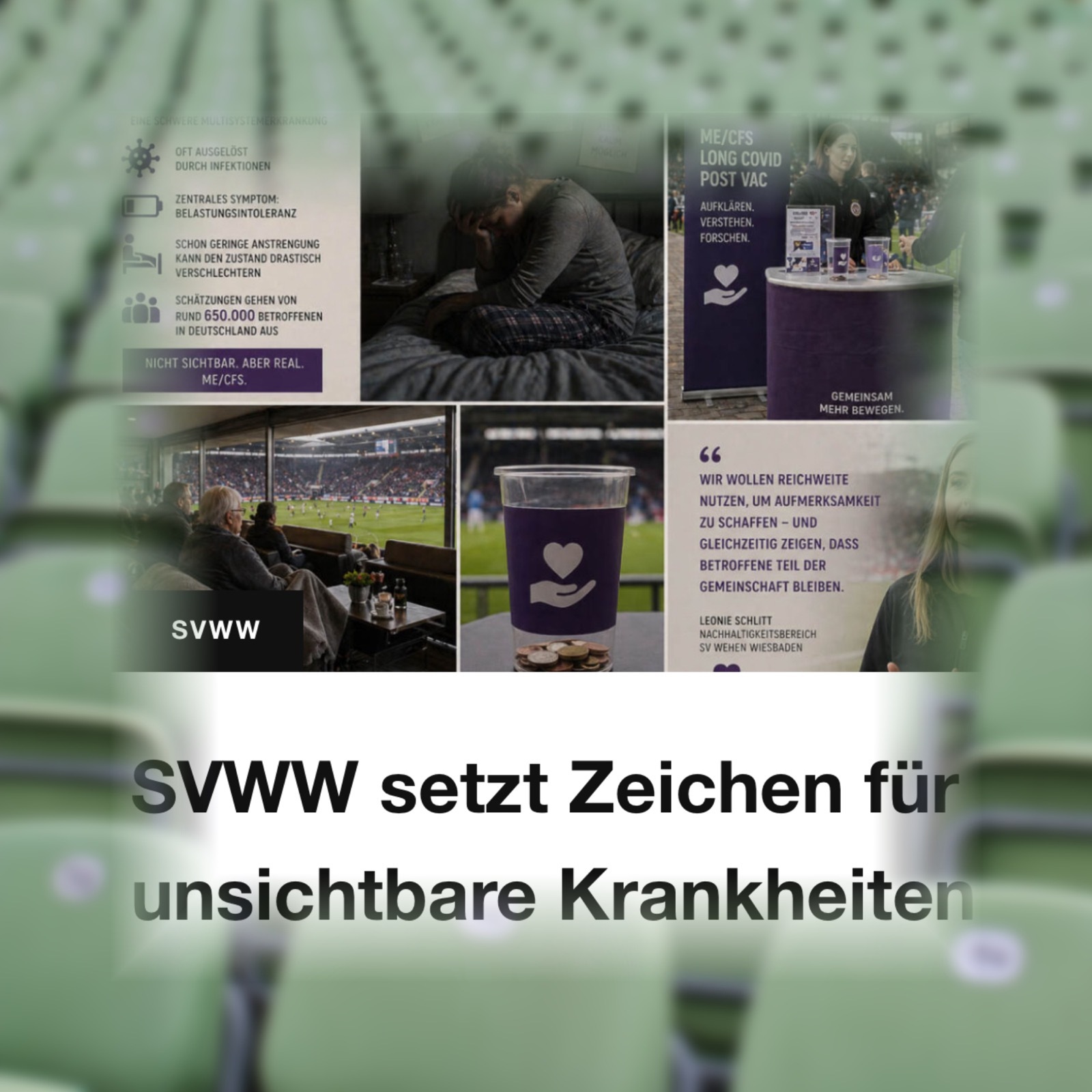 Wiesbaden lebt Artikel